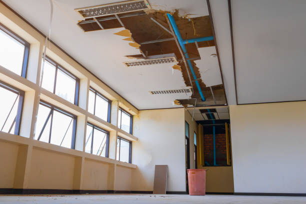 Best Flood restoration services  in Rosepine, LA