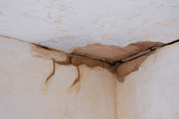 Best Emergency water damage restoration  in Rosepine, LA