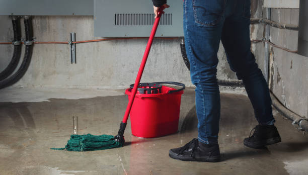 Best Flood restoration services  in Rosepine, LA