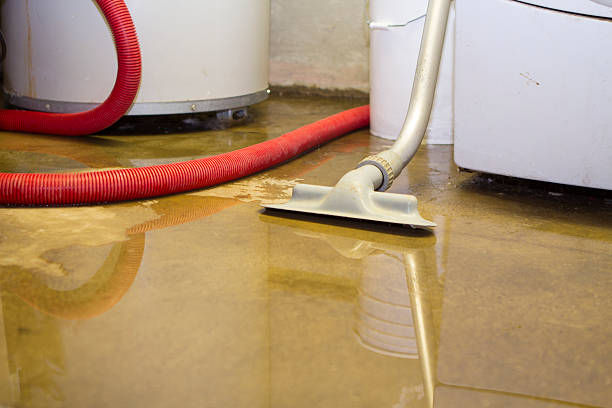Best Water damage restoration near me  in Rosepine, LA