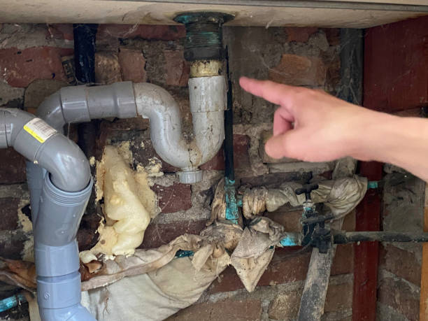 Trusted LA Water damage restoration Experts
