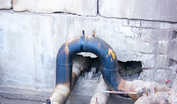 Best Fire Damage Restoration  in Rosepine, LA